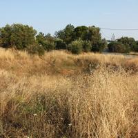 Land plot in Greece, Central Macedonia, Center