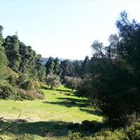 Земельный участок в Греции, Центральная Македония, Центр, 4238 кв.м.