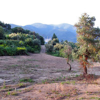 Land plot in Greece, Central Macedonia, Khal, 3524 sq.m.