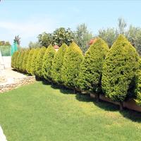 Другое в Греции, Центральная Македония, Центр, 235 кв.м.