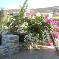 Other in Greece, 280 sq.m.