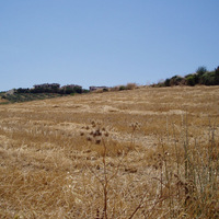 Land plot in Greece, Dode