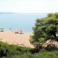 Земельный участок в Греции, Центральная Македония, Центр, 6310 кв.м.