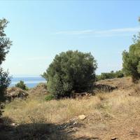 Земельный участок в Греции, Центральная Македония, Центр, 6310 кв.м.