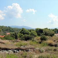 Земельный участок в Греции, Центральная Македония, Центр, 6310 кв.м.