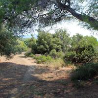 Земельный участок в Греции, Центральная Македония, Центр, 6310 кв.м.