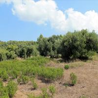 Земельный участок в Греции, Центральная Македония, Центр, 6310 кв.м.