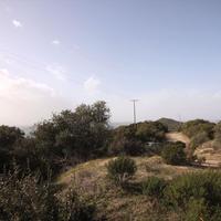 Land plot in Greece, Central Macedonia, Center, 10000 sq.m.