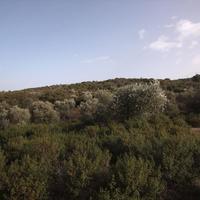 Land plot in Greece, Central Macedonia, Center, 10000 sq.m.