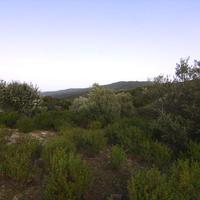 Land plot in Greece, Central Macedonia, Center, 10000 sq.m.