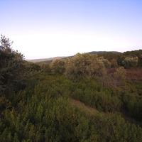 Land plot in Greece, Central Macedonia, Center, 10000 sq.m.