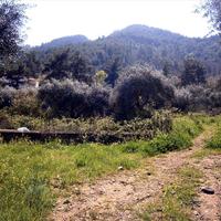 Земельный участок в Греции, Кавала, 1050 кв.м.