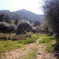 Земельный участок в Греции, Кавала, 1050 кв.м.