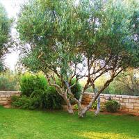 Villa in Greece, Crete, Chania, 284 sq.m.