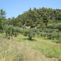 Land plot in Greece, Central Macedonia, Center