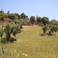 Land plot in Greece, Central Macedonia, Center