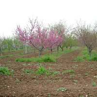 Вилла в Греции, Центральная Македония, Центр, 1300 кв.м.