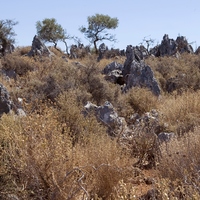 Land plot in Greece, Crete, Chania