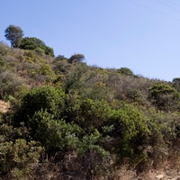 Land plot in Greece, Crete, Chania