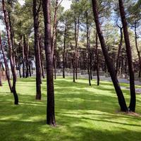 Villa in Greece, Central Macedonia, Center, 330 sq.m.