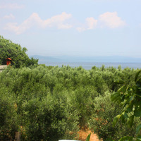 Другое в Греции, Центральная Македония, Центр, 220 кв.м.