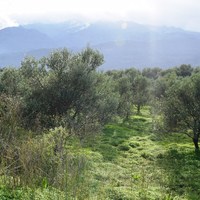 Земельный участок в Греции, Крит, Ханья