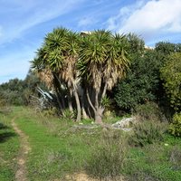 Other in Greece, Crete, Arakli, 160 sq.m.