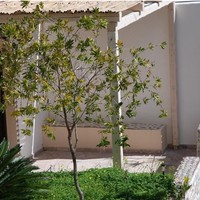 Business center in Greece, Crete, 165 sq.m.