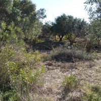 Land plot in Greece, Central Macedonia, Centre