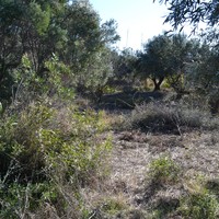 Land plot in Greece, Central Macedonia, Centre