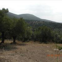 Land plot in Greece, Central Macedonia, Centre