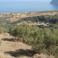 Land plot in Greece, Crete