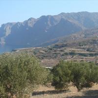 Land plot in Greece, Crete