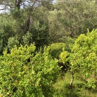 Другое в Греции, Ионические острова, 160 кв.м.