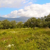 Земельный участок в Греции, Ионические острова