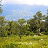 Земельный участок в Греции, Ионические острова