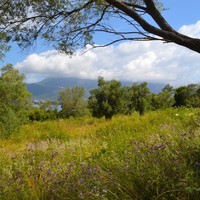 Земельный участок в Греции, Ионические острова