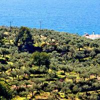 Земельный участок в Греции, Пелопоннес