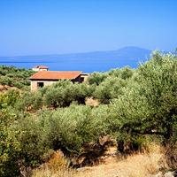 Земельный участок в Греции, Пелопоннес