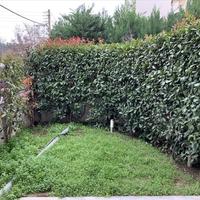 Таунхаус в Греции, Центральная Македония, Сало, 175 кв.м.