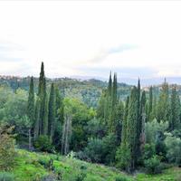 Land plot in Greece, Ionian Islands