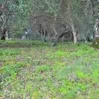 Land plot in Greece, Ionian Islands