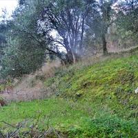 Land plot in Greece, Ionian Islands
