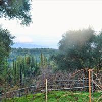 Land plot in Greece, Ionian Islands