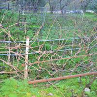 Land plot in Greece, Ionian Islands