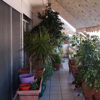 Flat in Greece, Attica, Attiki, 102 sq.m.