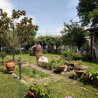 Other in Greece, Central Macedonia, Khal, 95 sq.m.