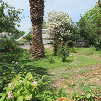 Other in Greece, Central Macedonia, Khal, 95 sq.m.