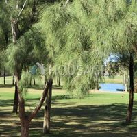 Вилла в Испании, Канарские Острова, Санта-Крус-де-Тенерифе, 610 кв.м.