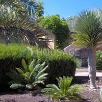 Villa in Spain, Canary Islands, Santa Cruz de Tenerife, 5621 sq.m.